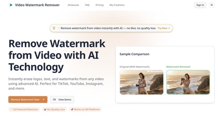 AI Video Watermark Remover